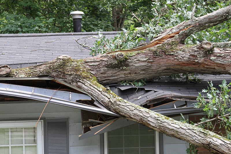 Does home insurance cover a tree hitting a roof?