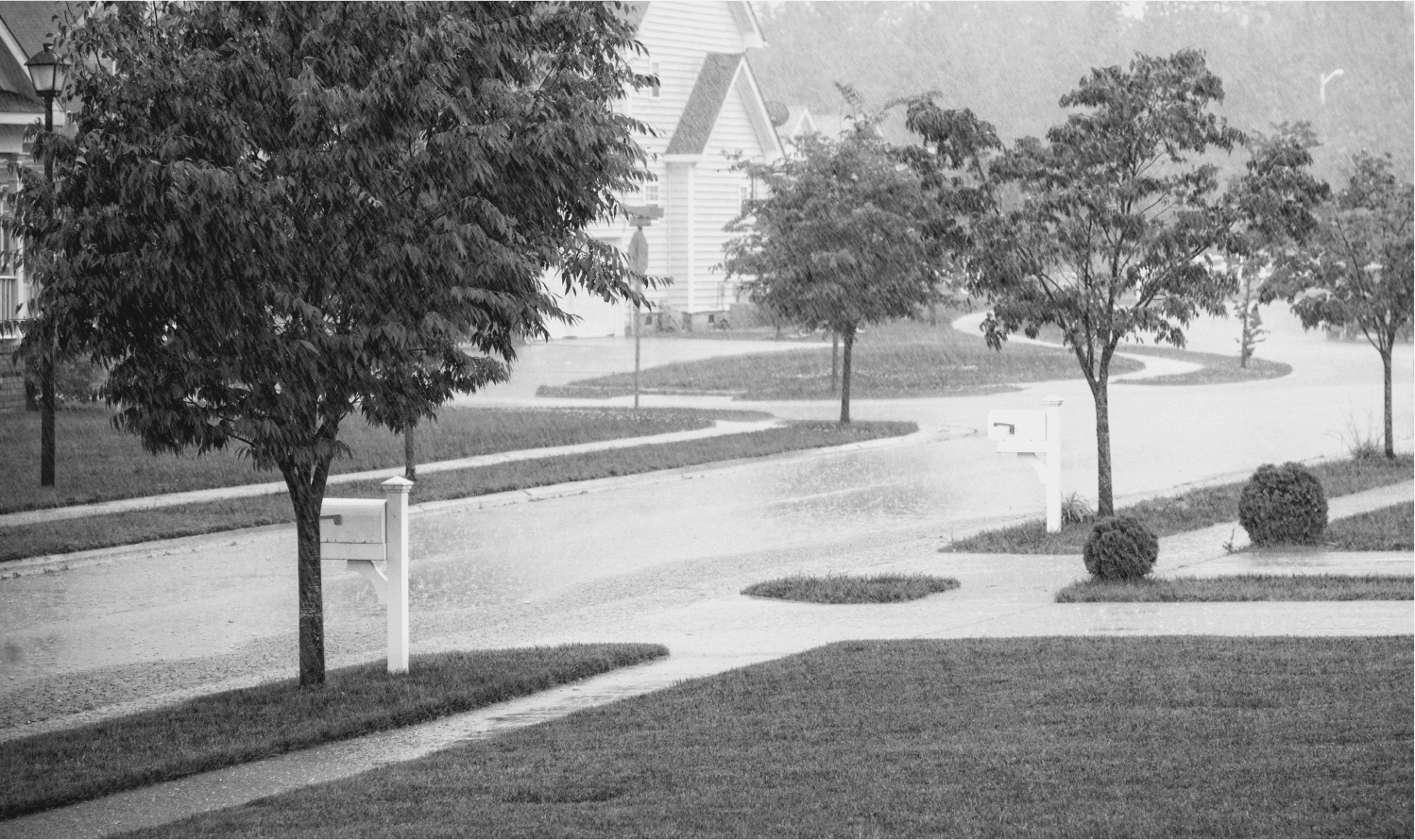 A rainy street in a suburban neighborhood.