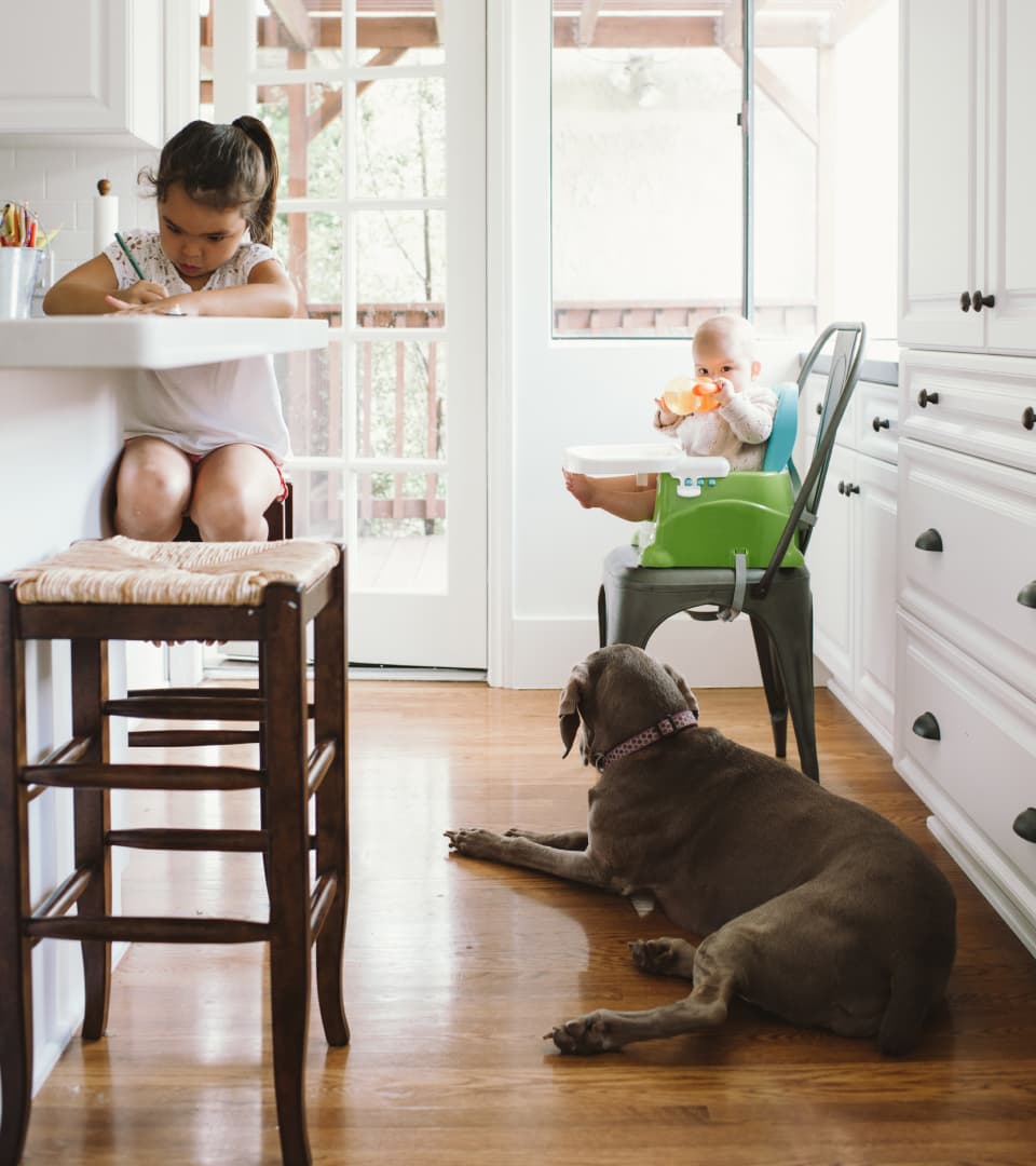 Little girl and baby in booster seat with their dog in the kitchen.